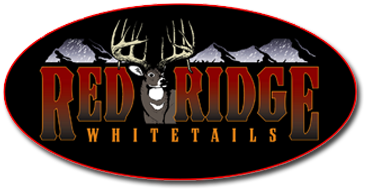 Red Ridge Whitetails